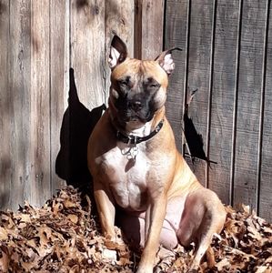 Meet your Posher, Cherry